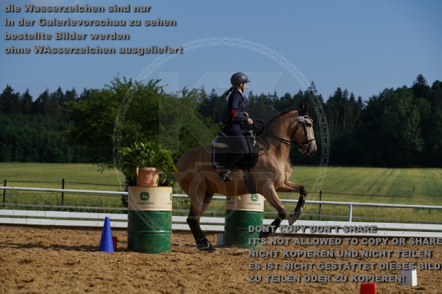 s_K3F05504.JPG